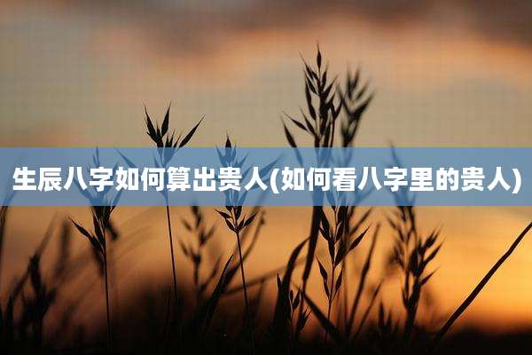生辰八字如何算出贵人(如何看八字里的贵人)