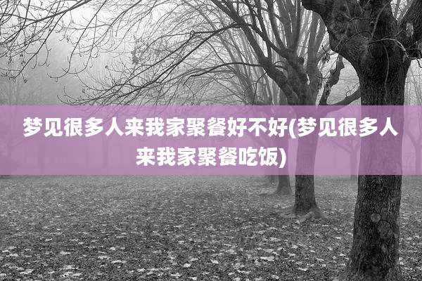 梦见很多人来我家聚餐好不好(梦见很多人来我家聚餐吃饭)