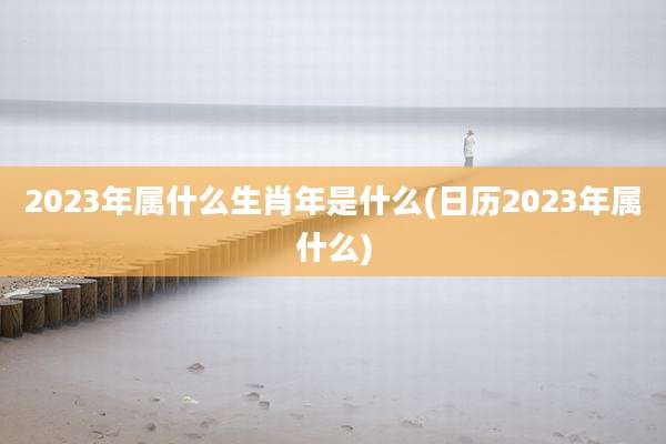 2023年属什么生肖年是什么(日历2023年属什么)