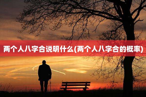 两个人八字合说明什么(两个人八字合的概率)