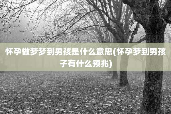怀孕做梦梦到男孩是什么意思(怀孕梦到男孩子有什么预兆)