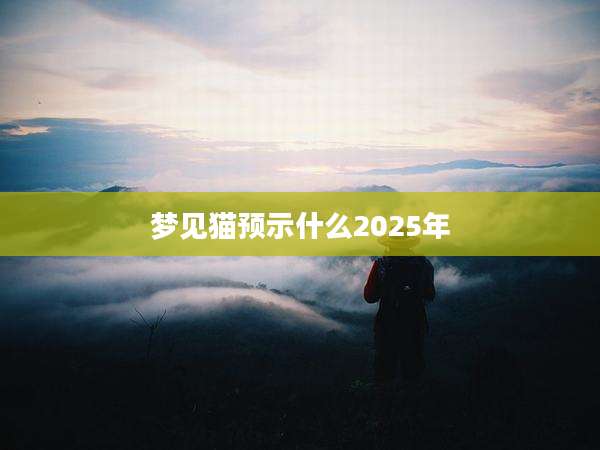 梦见猫预示什么2025年