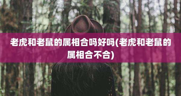 老虎和老鼠的属相合吗好吗(老虎和老鼠的属相合不合)