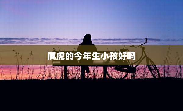 属虎的今年生小孩好吗