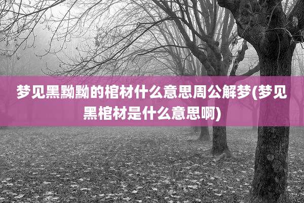 梦见黑黝黝的棺材什么意思周公解梦(梦见黑棺材是什么意思啊)