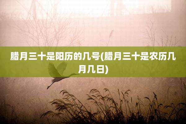 腊月三十是阳历的几号(腊月三十是农历几月几日)