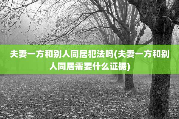 夫妻一方和别人同居犯法吗(夫妻一方和别人同居需要什么证据)