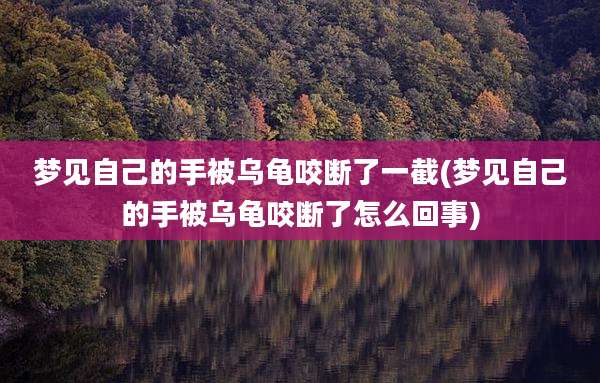 梦见自己的手被乌龟咬断了一截(梦见自己的手被乌龟咬断了怎么回事)