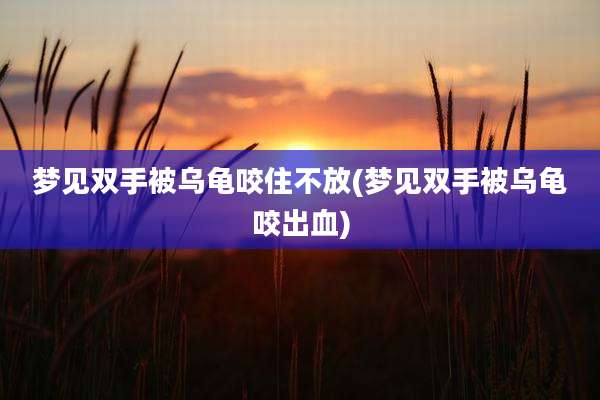 梦见双手被乌龟咬住不放(梦见双手被乌龟咬出血)