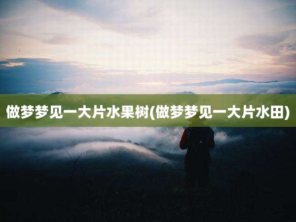 做梦梦见一大片水果树(做梦梦见一大片水田)