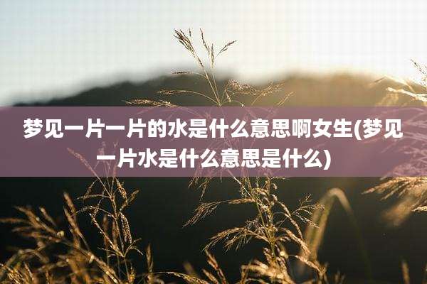 梦见一片一片的水是什么意思啊女生(梦见一片水是什么意思是什么)