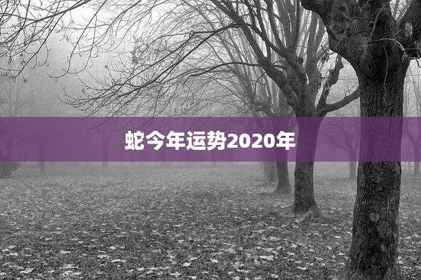 蛇今年运势2020年