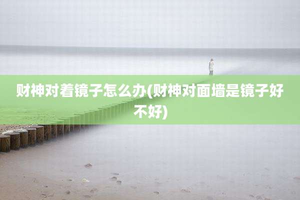 财神对着镜子怎么办(财神对面墙是镜子好不好)