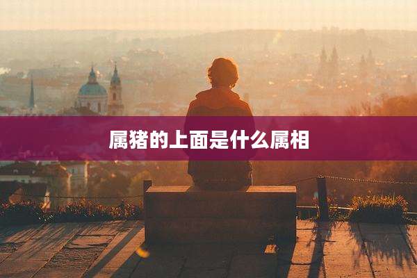 属猪的上面是什么属相
