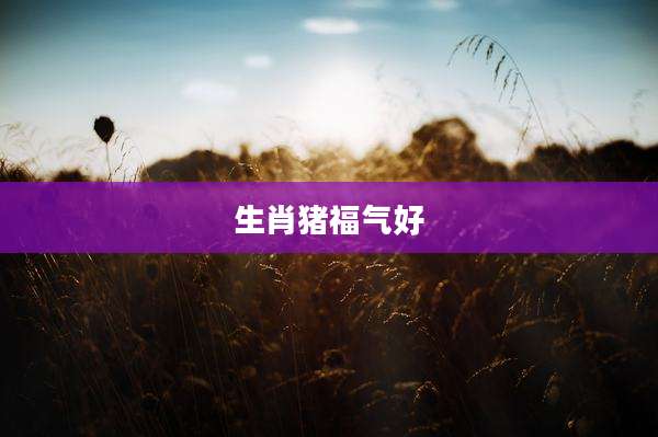 生肖猪福气好