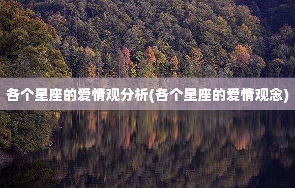 各个星座的爱情观分析(各个星座的爱情观念)
