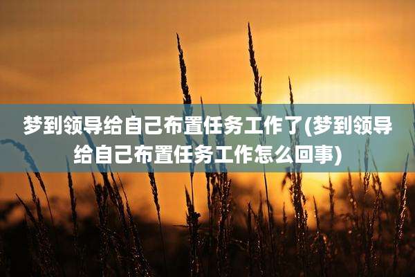 梦到领导给自己布置任务工作了(梦到领导给自己布置任务工作怎么回事)