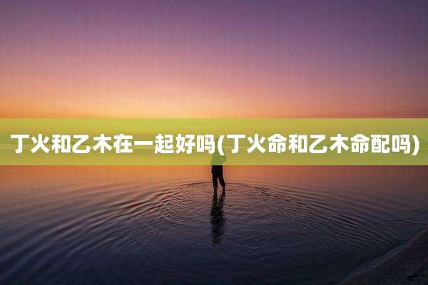 丁火和乙木在一起好吗(丁火命和乙木命配吗)