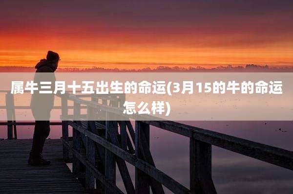 属牛三月十五出生的命运(3月15的牛的命运怎么样)