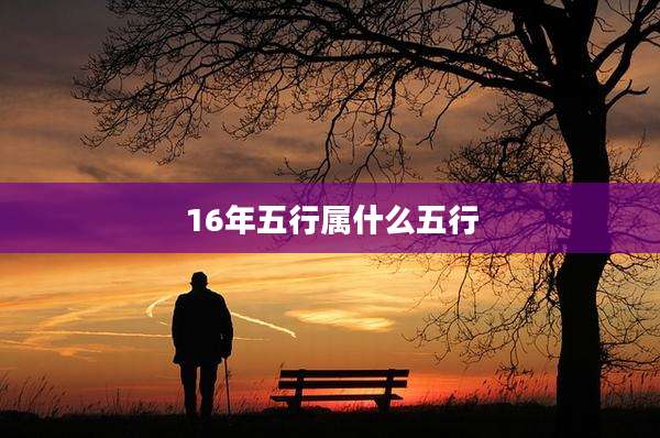 16年五行属什么五行