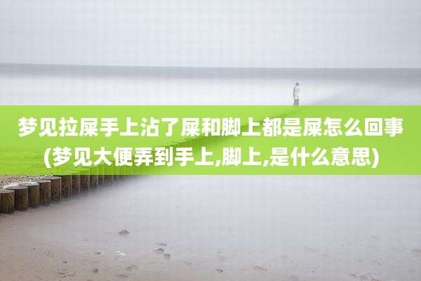 梦见拉屎手上沾了屎和脚上都是屎怎么回事(梦见大便弄到手上,脚上,是什么意思)