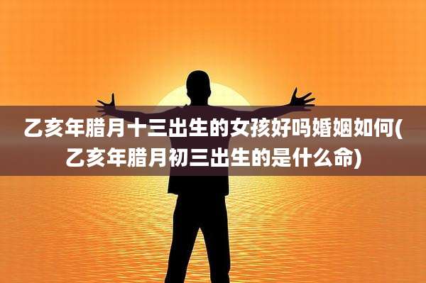 乙亥年腊月十三出生的女孩好吗婚姻如何(乙亥年腊月初三出生的是什么命)