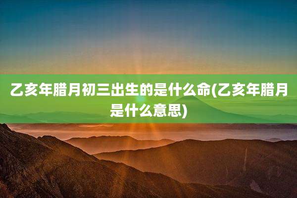 乙亥年腊月初三出生的是什么命(乙亥年腊月是什么意思)