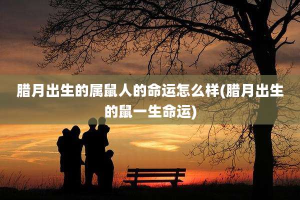 腊月出生的属鼠人的命运怎么样(腊月出生的鼠一生命运)