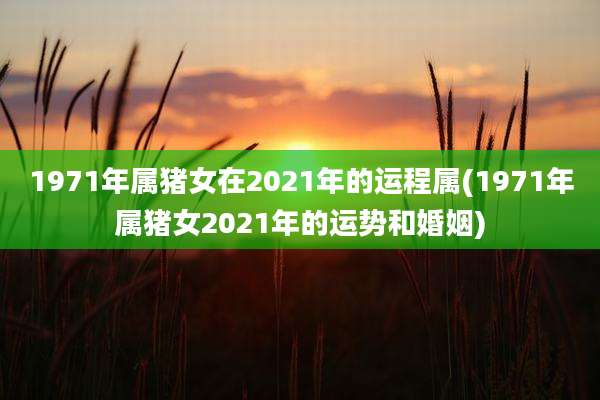 1971年属猪女在2021年的运程属(1971年属猪女2021年的运势和婚姻)