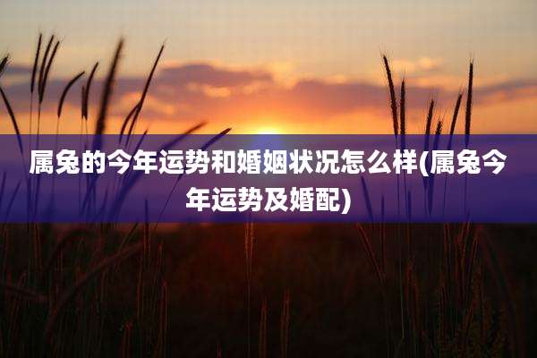 属兔的今年运势和婚姻状况怎么样(属兔今年运势及婚配)