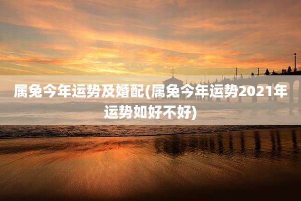 属兔今年运势及婚配(属兔今年运势2021年运势如好不好)