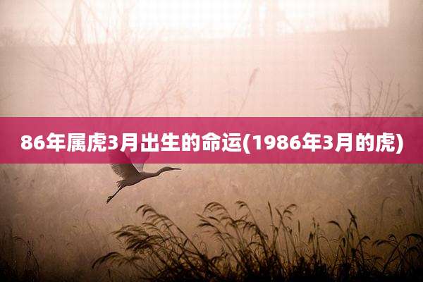 86年属虎3月出生的命运(1986年3月的虎)
