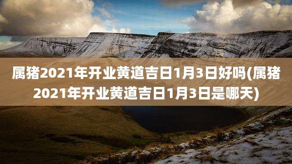 属猪2021年开业黄道吉日1月3日好吗(属猪2021年开业黄道吉日1月3日是哪天)