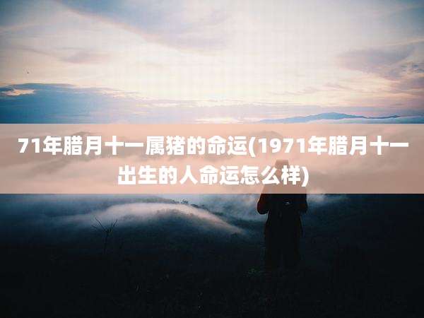 71年腊月十一属猪的命运(1971年腊月十一出生的人命运怎么样)