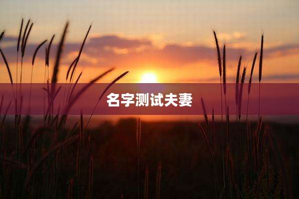 名字测试夫妻