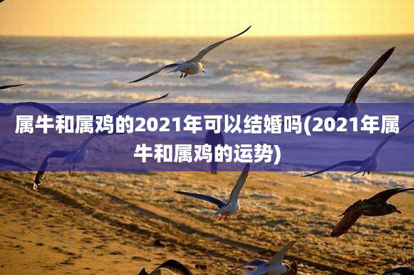 属牛和属鸡的2021年可以结婚吗(2021年属牛和属鸡的运势)