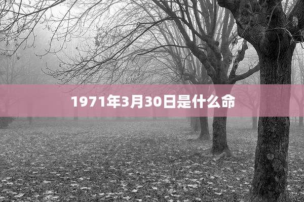 1971年3月30日是什么命