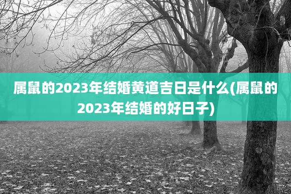 属鼠的2023年结婚黄道吉日是什么(属鼠的2023年结婚的好日子)