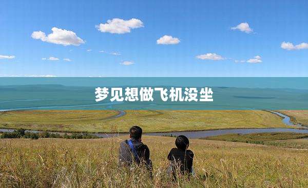 梦见想做飞机没坐