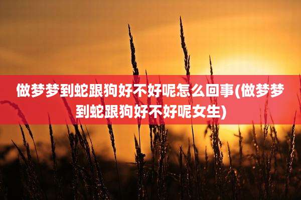 做梦梦到蛇跟狗好不好呢怎么回事(做梦梦到蛇跟狗好不好呢女生)