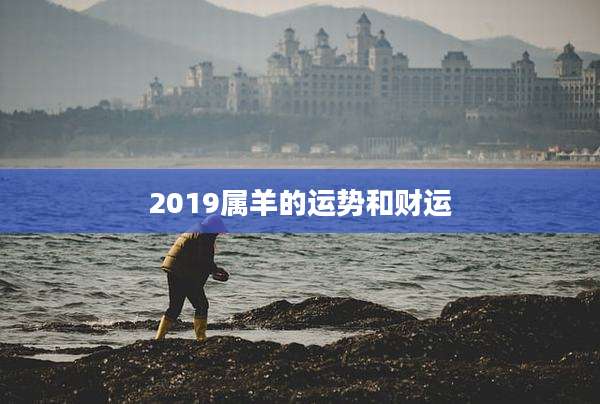 2019属羊的运势和财运