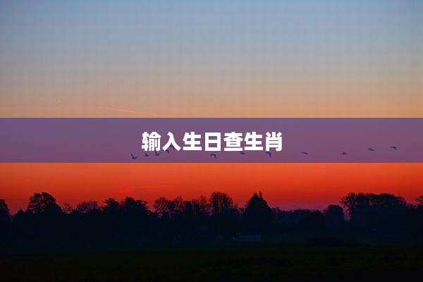 输入生日查生肖