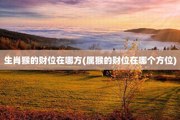 生肖猴的财位在哪方(属猴的财位在哪个方位)