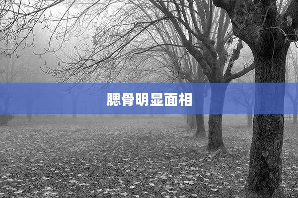 腮骨明显面相