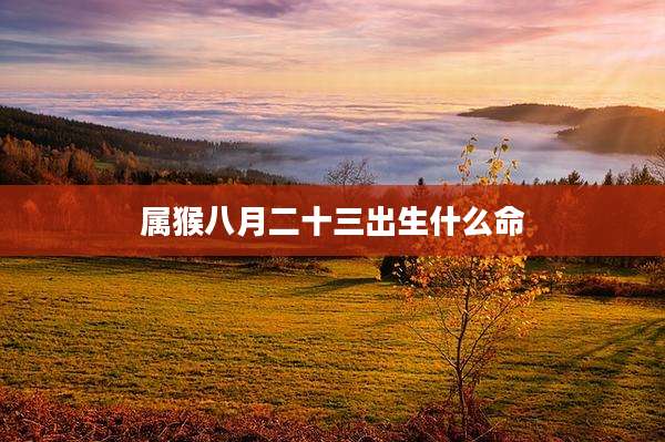 属猴八月二十三出生什么命
