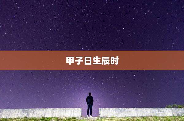 甲子日生辰时