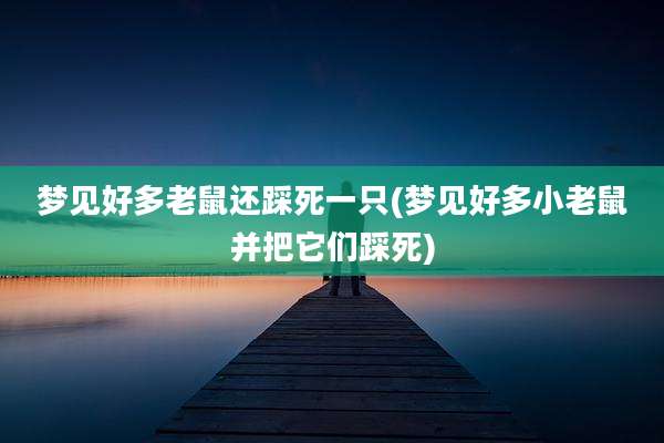 梦见好多老鼠还踩死一只(梦见好多小老鼠并把它们踩死)