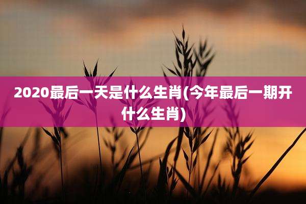 2020最后一天是什么生肖(今年最后一期开什么生肖)