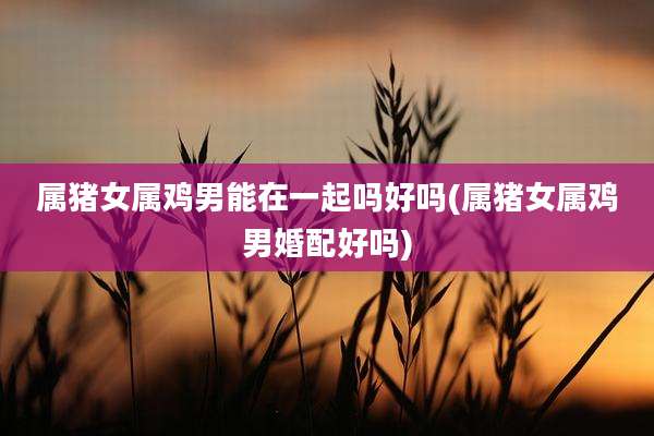 属猪女属鸡男能在一起吗好吗(属猪女属鸡男婚配好吗)