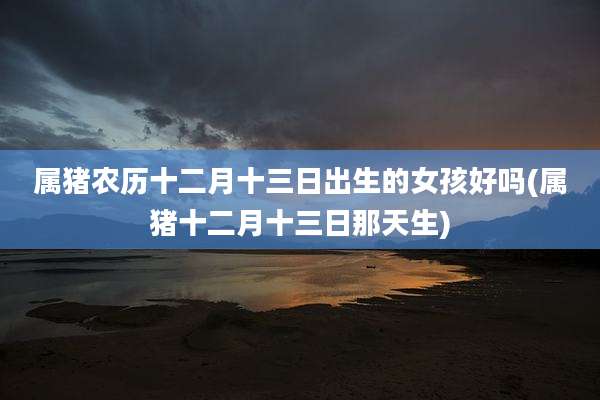 属猪农历十二月十三日出生的女孩好吗(属猪十二月十三日那天生)